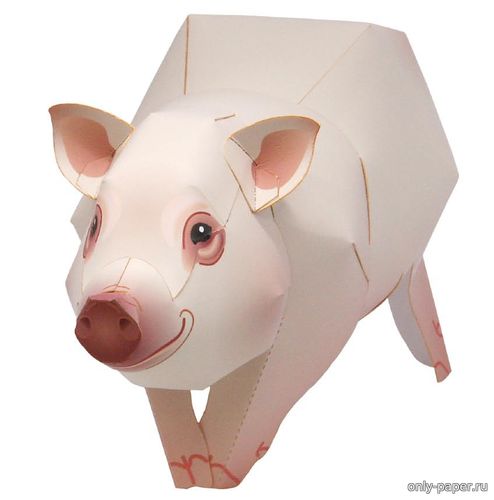 Сборная бумажная модель Карликовая домашняя свинья / Miniature Pig (Canon)