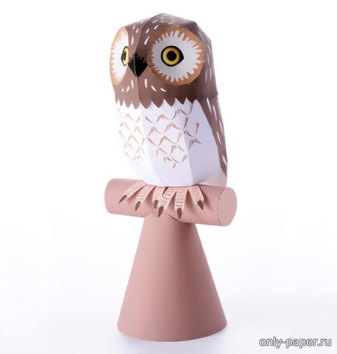 Сборная бумажная модель / scale paper model, papercraft Сова / Owl 