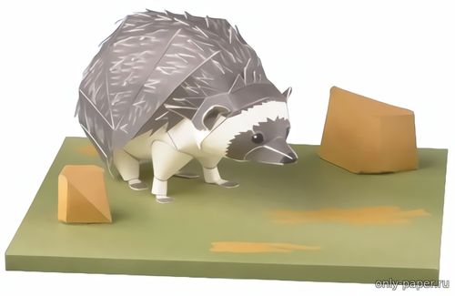 Сборная бумажная модель Южноафриканский еж / South African Hedgehog