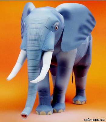 Сборная бумажная модель / scale paper model, papercraft Африканский слон / African Elephant 