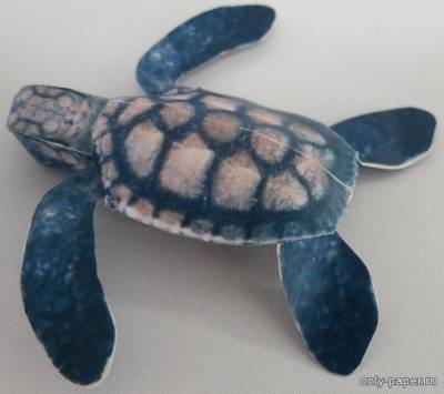 Сборная бумажная модель / scale paper model, papercraft Морская черепаха 